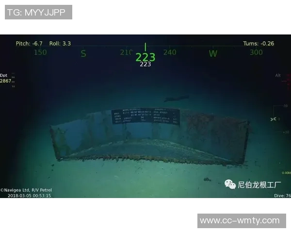 保罗的故事：从个人视角出发的独特叙述与其他视角的稀缺探索